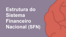 Estrutura do SFN