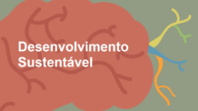 Desenvolvimento Sustentável – Resumo de livro em Mapa Mental