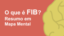 O que é FIB? Felicidade Interna Bruta resumida em Mapa Mental